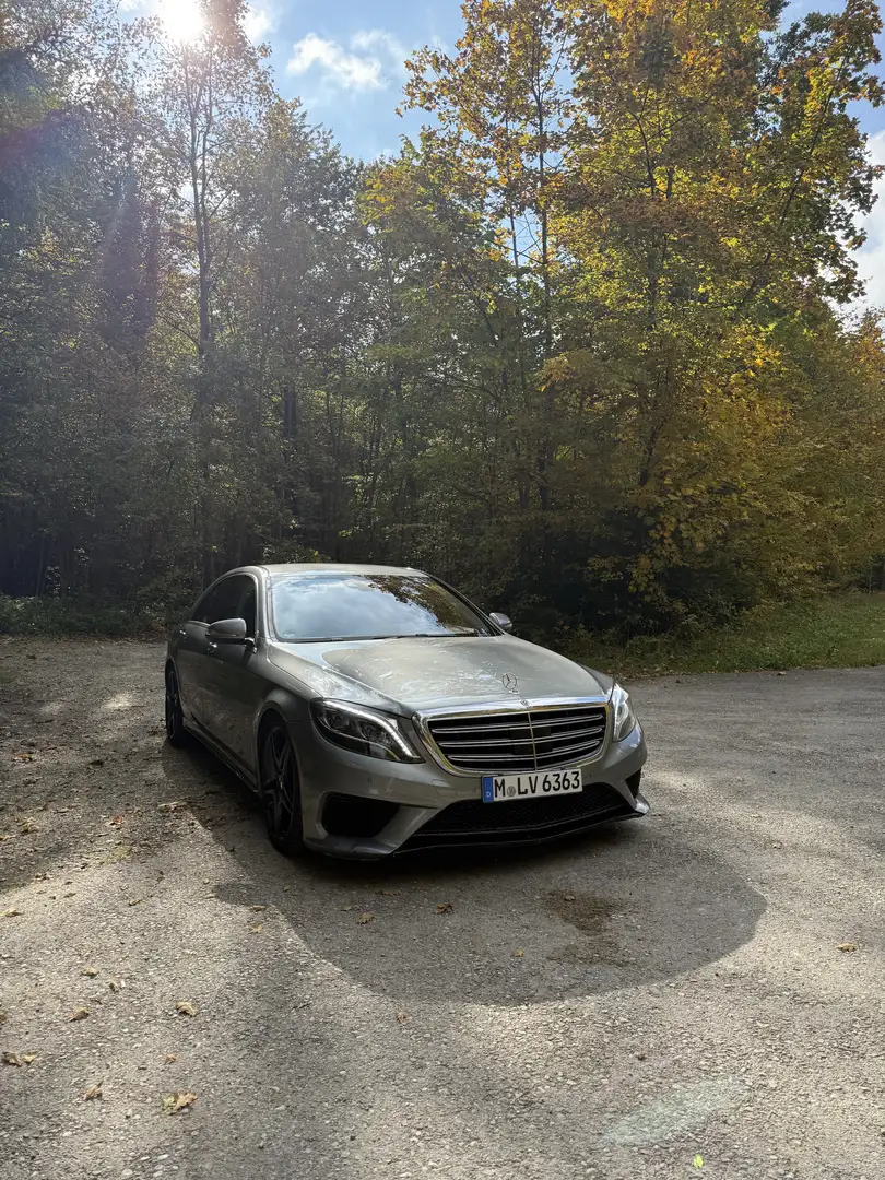 Mercedes-Benz S 350 S 350 BlueTec / d L (222.132) Grau - 1