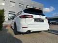 Ford Focus 2,3 EcoBoost ST X Turnier *Pano|ACC|Kamera Weiß - thumbnail 9