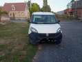 Fiat Doblo Doblo 1.4i Easy Blanc - thumbnail 2