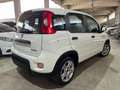 Fiat New Panda 1.0 FireFly S&S Hybrid CityLife 5 POSTI/OK NEOPATE Bianco - thumbnail 6