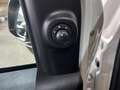 Fiat New Panda 1.0 FireFly S&S Hybrid CityLife 5 POSTI/OK NEOPATE Bianco - thumbnail 14