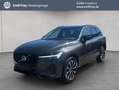 Volvo XC60 XC60 B4 AWD Plus-Dark Aut ACC BLIS Leder AHK Grau - thumbnail 1