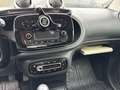 smart forTwo fortwo coupe Basis 52kW Weiß - thumbnail 6