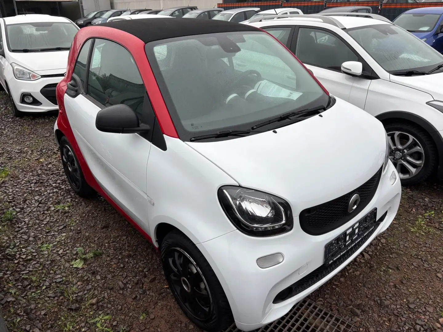 smart forTwo fortwo coupe Basis 52kW Weiß - 2