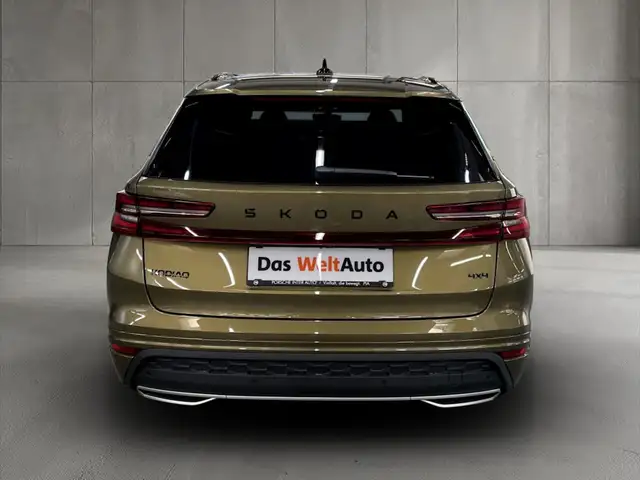 Skoda Kodiaq view 6