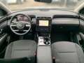 Hyundai TUCSON TUCSON 1.6 T-GDI Plug-In Hybrid 4WD LED Bianco - thumbnail 24