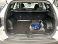 Hyundai TUCSON TUCSON 1.6 T-GDI Plug-In Hybrid 4WD LED Bianco - thumbnail 12