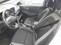 Hyundai KONA 1.6L CRDI BUSINESS societé Bianco - thumbnail 8