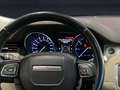 Land Rover Range Rover Evoque 2.2 td4 Prestige 150cv 5p Groen - thumbnail 21