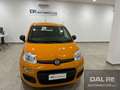 Fiat Panda Panda 1.0 FireFly S&S Hybrid Arancione - thumbnail 2