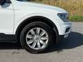 Volkswagen Tiguan 2.0 TDI BMT Trendline 4Motion *ERSTBESITZ* - thumbnail 13