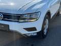 Volkswagen Tiguan 2.0 TDI BMT Trendline 4Motion *ERSTBESITZ* - thumbnail 16