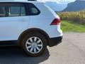 Volkswagen Tiguan 2.0 TDI BMT Trendline 4Motion *ERSTBESITZ* - thumbnail 12