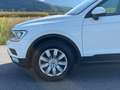 Volkswagen Tiguan 2.0 TDI BMT Trendline 4Motion *ERSTBESITZ* - thumbnail 14