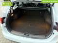 Kia Ceed SW / cee'd SW Sportswagon 1.5 T-GDi DynamicPlusLineCamera|Stuur Weiß - thumbnail 7