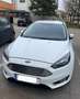 Ford Focus Focus Traveller 1,0 EcoBoost Titanium Aut. Titanium Weiß - thumbnail 4
