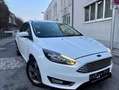Ford Focus Focus Traveller 1,0 EcoBoost Titanium Aut. Titanium Weiß - thumbnail 1