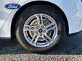 Ford Focus 1.0 Ecoboost Trend+ 125 Blanco - thumbnail 9