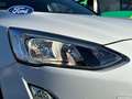 Ford Focus 1.0 Ecoboost Trend+ 125 Blanco - thumbnail 7