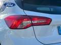 Ford Focus 1.0 Ecoboost Trend+ 125 Blanco - thumbnail 8
