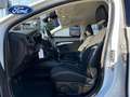 Ford Focus 1.0 Ecoboost Trend+ 125 Blanco - thumbnail 11