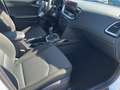 Kia Ceed / cee'd SW VISION Navigation Kamera*Carplay Weiß - thumbnail 7