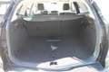 Ford Focus 1HD,Tüv/Au+Service neu,gepfl.,Finanz. Nero - thumbnail 13