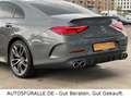 Mercedes-Benz CLS 53 AMG CLS*53 AMG*SD*4x4*Widescreen*Edelholz Esche*TOP Grau - thumbnail 28