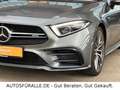 Mercedes-Benz CLS 53 AMG CLS*53 AMG*SD*4x4*Widescreen*Edelholz Esche*TOP Grau - thumbnail 27