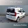 Fiat Qubo 1.3 MJT 95 CV Trekking Weiß - thumbnail 4