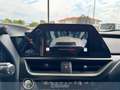 Lexus UX 250h 250h 2.0 urban 2wd cvt Gris - thumbnail 15