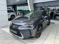 Lexus UX 250h 250h 2.0 urban 2wd cvt Gris - thumbnail 1