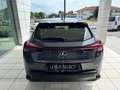 Lexus UX 250h 250h 2.0 urban 2wd cvt Gris - thumbnail 6
