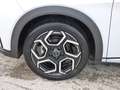 BYD Dolphin 60,4 kWh Comfort *Preisschutz* Alb - thumbnail 5