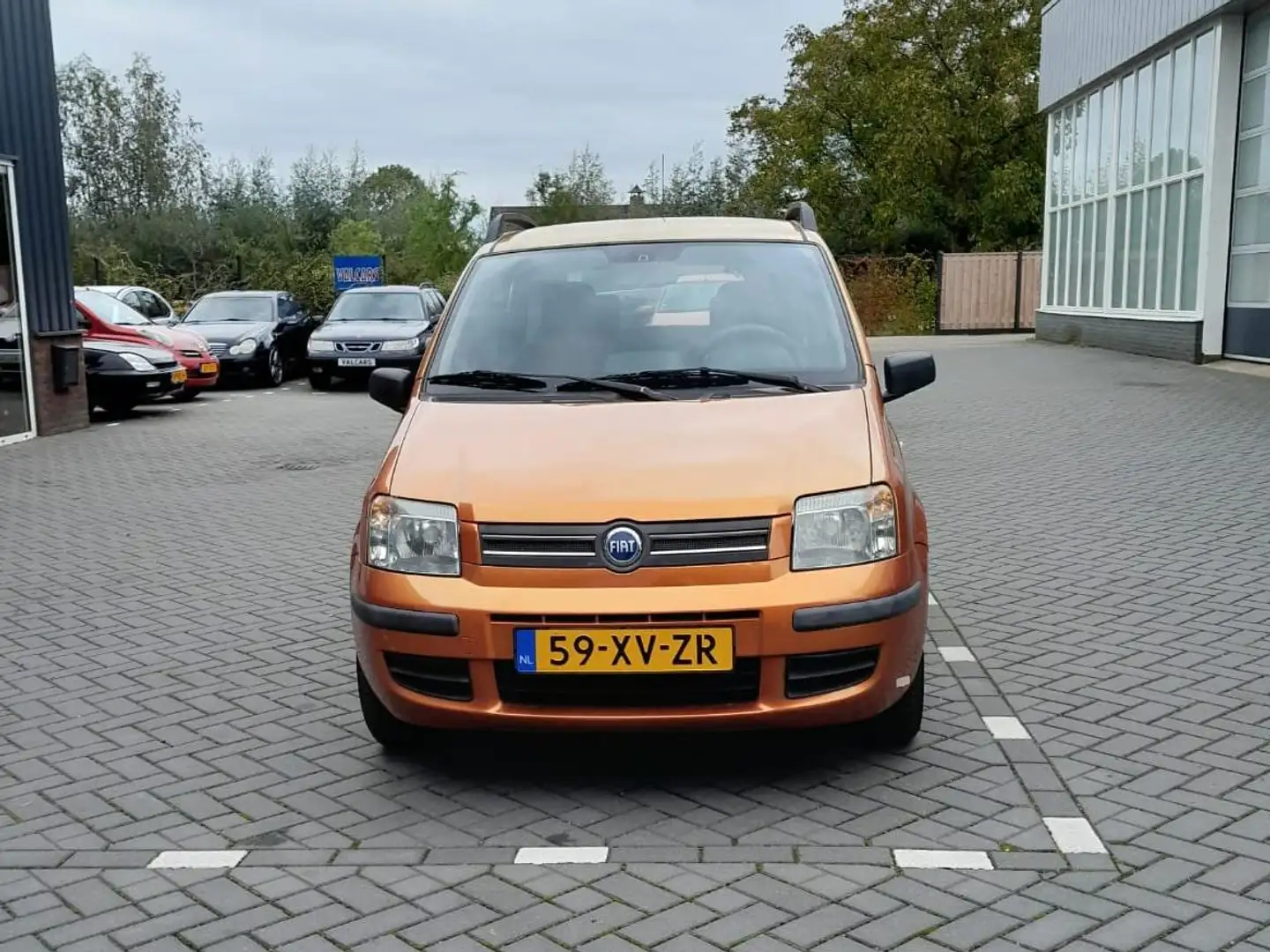 Fiat Panda 1.2 Edizione Cool Oranje - 2