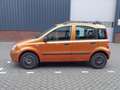 Fiat Panda 1.2 Edizione Cool Oranje - thumbnail 3