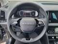 Skoda Karoq Drive Sondermodell 1.0 TSI 85kW 6-Gang VFW Grey - thumbnail 15