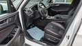 Ford S-Max 2.0 TDCi EcoBlue ST-Line 7  SITZE Weiß - thumbnail 7