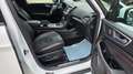 Ford S-Max 2.0 TDCi EcoBlue ST-Line 7  SITZE Weiß - thumbnail 9