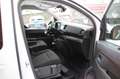 Toyota Proace Verso L1 Family Comfort 8 Sitze/Navi/Shz/ Weiß - thumbnail 12