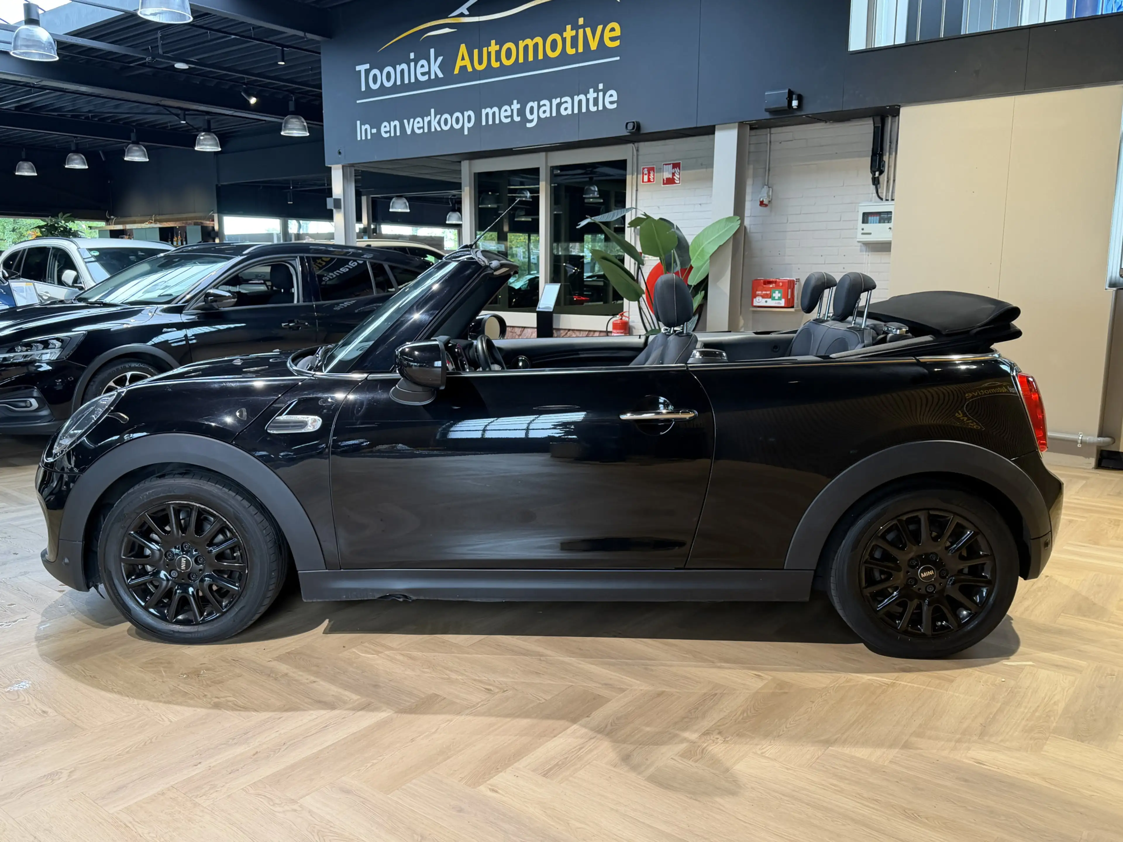 MINI Cooper Cabrio 1.5 Salt AUTOMAAT | — photo 7