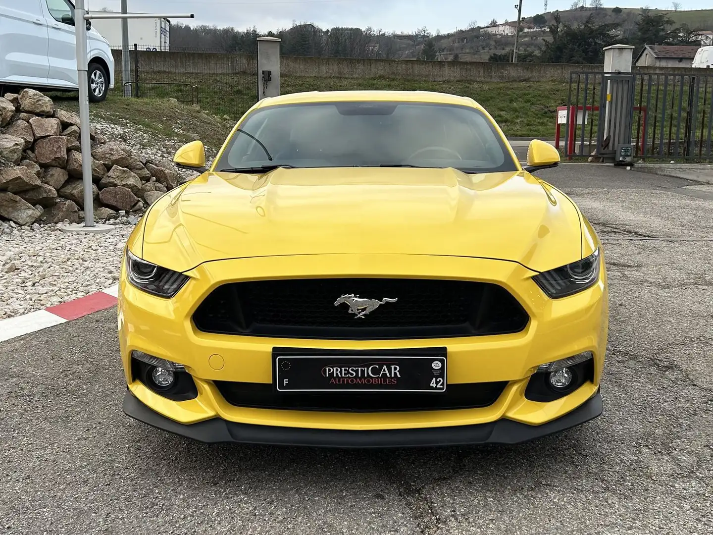 Ford Mustang Fastback V8 5.0 421 GT A Gelb - 2