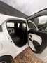 Renault Twingo Experience-HU NEU-MLF.-Klima- Blanc - thumbnail 10