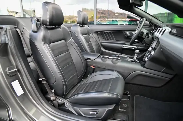Ford Mustang view 13