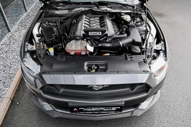 Ford Mustang view 7