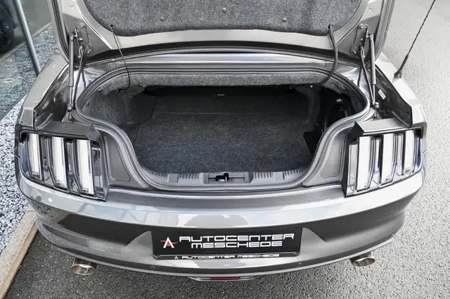 Ford Mustang view 8