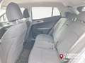 Kia Sportage 1.6 CRDi MHEV DCT Business Argento - thumbnail 15