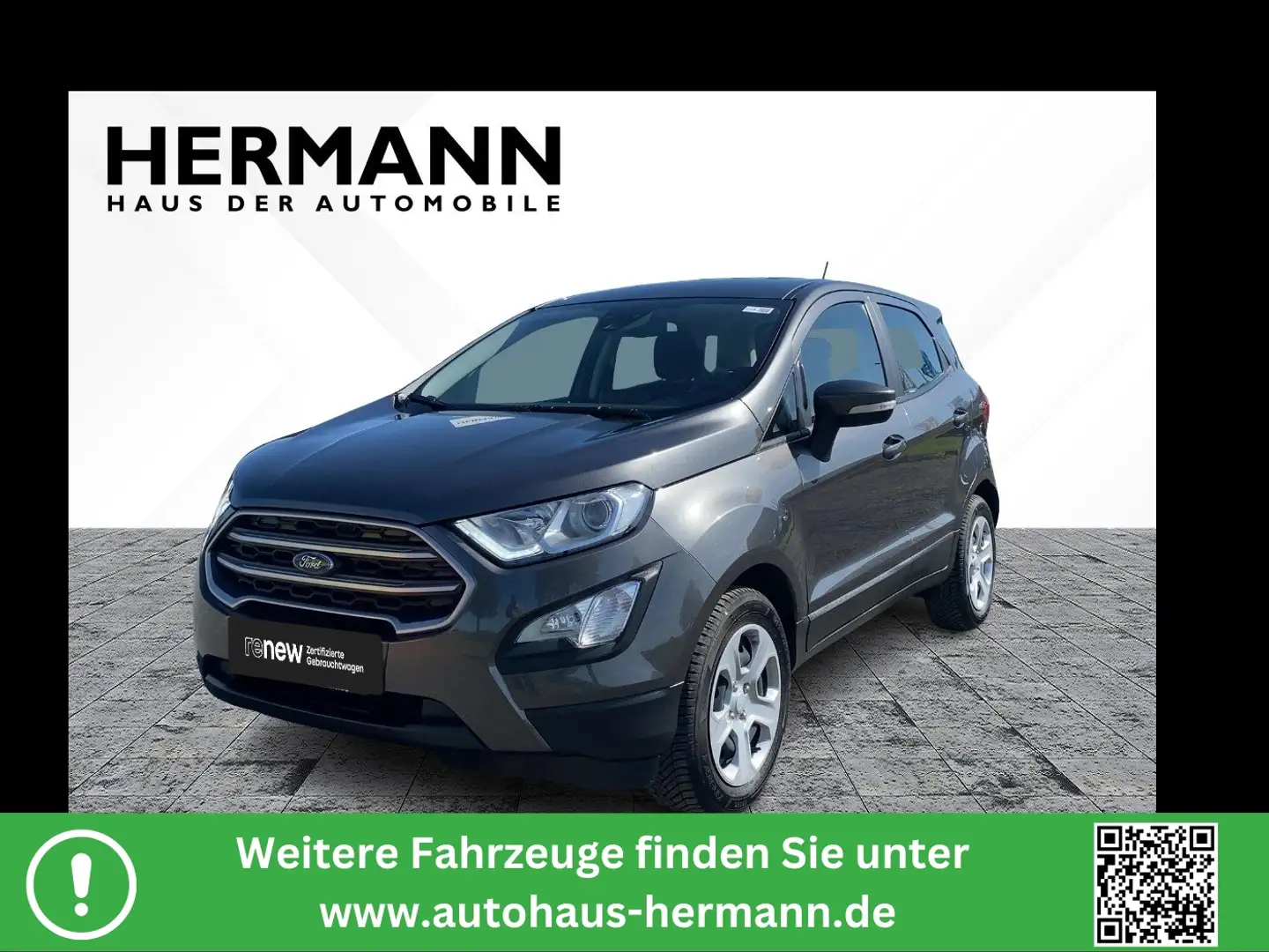 Ford EcoSport 1.0 EcoBoost Cool & Connect AHK*SHZ*Cam Grau - 1