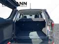 Ford EcoSport 1.0 EcoBoost Cool & Connect AHK*SHZ*Cam Grau - thumbnail 7