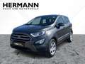 Ford EcoSport 1.0 EcoBoost Cool & Connect AHK*SHZ*Cam Grau - thumbnail 1